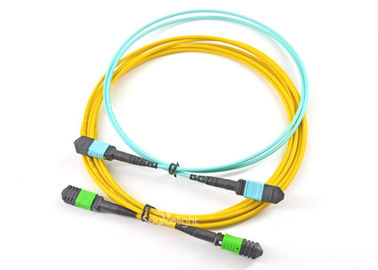 China El cable óptico Msfp de la fibra al remiendo de la fibra óptica telegrafía 10gb a dos caras con alta densidad proveedor